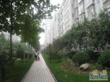 富田二期大院小高层4房中间楼层 采光无遮挡无贷款