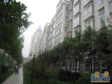 急卖,急卖,急卖,采光好,视野棒