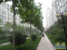 中高楼层采光好视野广阔,生活配套齐全。随时看房