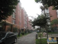 二环内 地铁口 一楼带院 配套成熟 交通方便