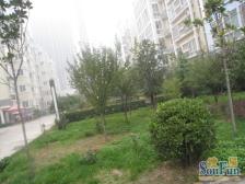 二环内 近地铁 复式30平大露台双气社区南北通透