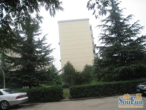 ×ÏÖñÐ¡Çø2ÊÒ1Ìü1ÎÀÄϱ±³¯Ïò1200.00Ôª/Ô³ö×â