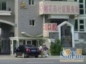 北七家·桃花苑·4室·3厅