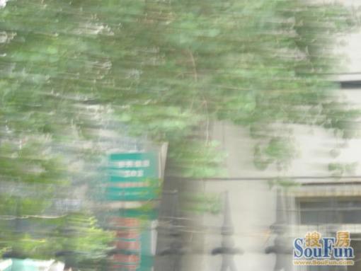 原田花园3室1厅1卫南北朝向3900.00元/月出租