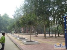 2022年新装修 南北通透大四房 可上省实yan 文一