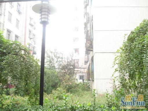 富景花园3室1厅1卫南北朝向1100.00元/月出租