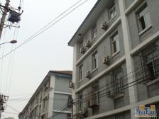 交林1室1厅东南