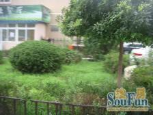 祥瑞苑50装修成本,自住爱惜房源,看房方便