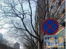 呼家楼北街2室1厅南北