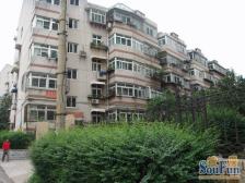 郎茂山二区 1室1厅 南