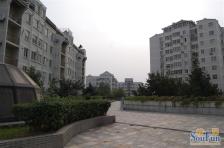 良乡·北潞芳·2室·1厅