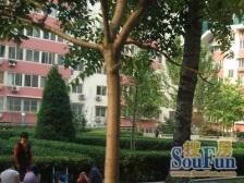 新街口·什刹海附近胡同平房·1室·0厅