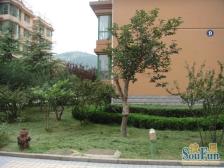 空间大,卧龙5/6复式,适合一家三代人居住,南北通透