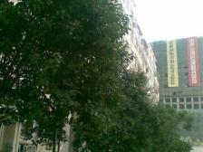 步梯低楼层、通透户型好、大露台