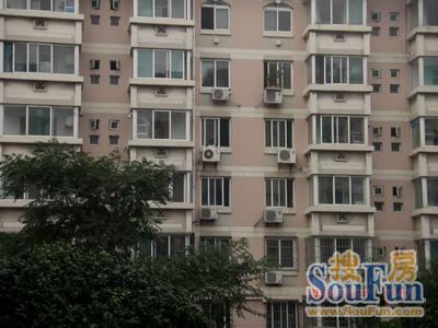整租·新港街·馨苑小区·3室