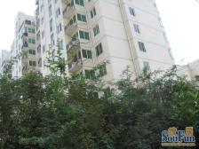 文博花园,电梯房,双气四房,满五年,上學方便