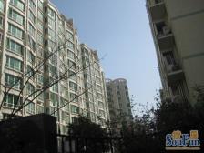 精装修四房 中间楼层 双气 视野好 采光无遮挡