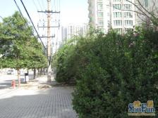 全款房 有暖气 不临街不临路 诚意出售