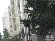 文博花园 3室2厅 南 北