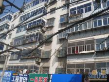 小区邻滨河公园,金水河锻炼身体的好去处