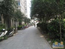 兴达花园 1室1厅 南