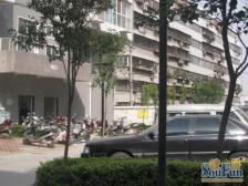 紫荆山商城路,裕鸿国际 金城国贸 近地铁紫荆山1.2线