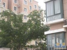 和谐小区经典户型 毛坯3房 电梯洋房 看房提前预约