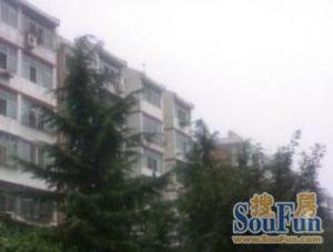 建国街二里 1室1厅 南