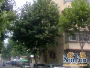 建国街二里新上南北通透精装修两居室 一层 满五唯一