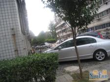 看房方便,业主诚心出售,精装修,拎包入住