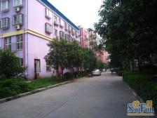 业主诚心出售,两卧朝南,户型采光好