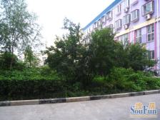 翠竹苑南北通透户型满五年看房子方便