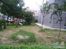 紫光花园 2室2厅 南