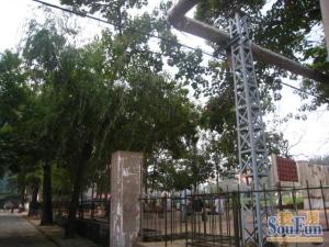 桐柏路伊河路,双气大两室,南北通透