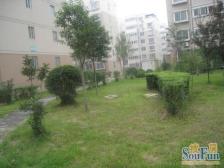 低楼层 出行方便 户型通透 双气 生活便利