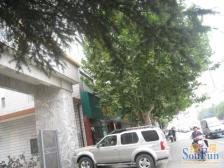 城东路 城北路,商城遗址公园双气三房 全明户型