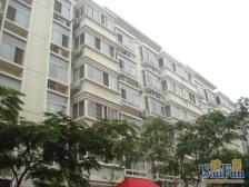 一环内 一楼 带小院 40平 三卧朝南 明厅