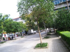 低密度社区 低层 满五唯一 没有个税 南北通透户型