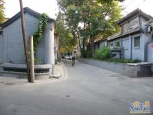 松树街1室1厅南
