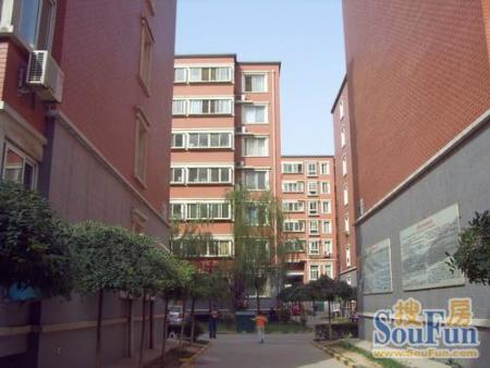 450x338c.jpg