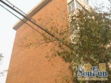 天山里3楼,两室私产可贷款,随时签约