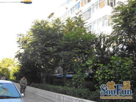 三里河东路甲14号院