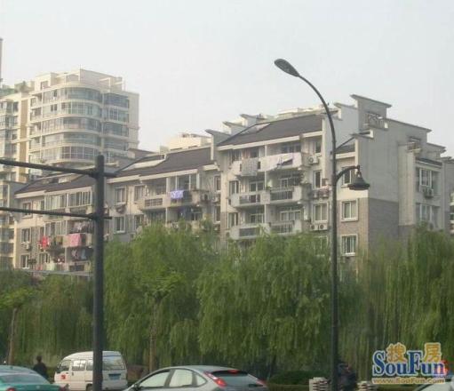 天巢园