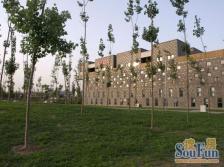 百旺府 二区 电梯二层 满五唯一 保养好