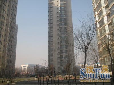 滨海新城3室2厅2卫南北朝向4600.00元/月出租