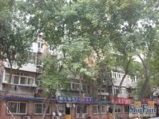 金厦里4楼两室明厅不临街过五年带装修一层两户