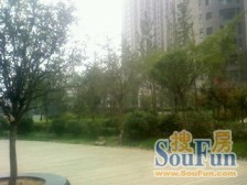 2017年,双气,两房,可以随心装修业主诚心出售