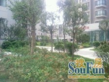 三地铁 人车分流 园林式小区