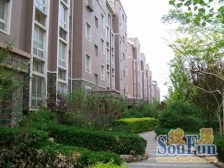 店长推荐可以种菜种树的房子看房子方便