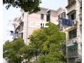 虹桥+淮河(雷锋)一楼临二七早市